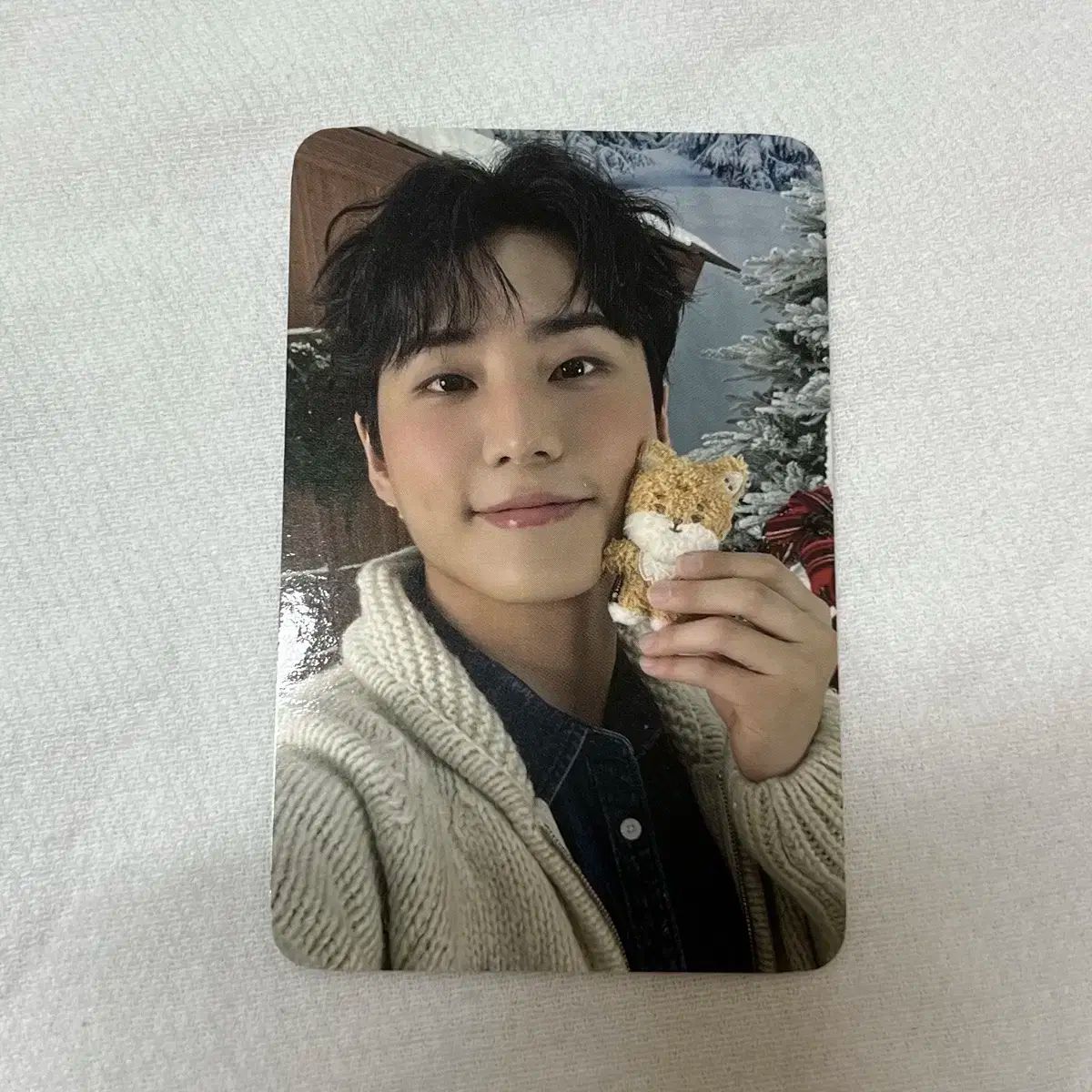 DAY6 THE BEST DAY2 ヨンケイ トレカ DAY6 THE BEST DAY2 ヨンケイ