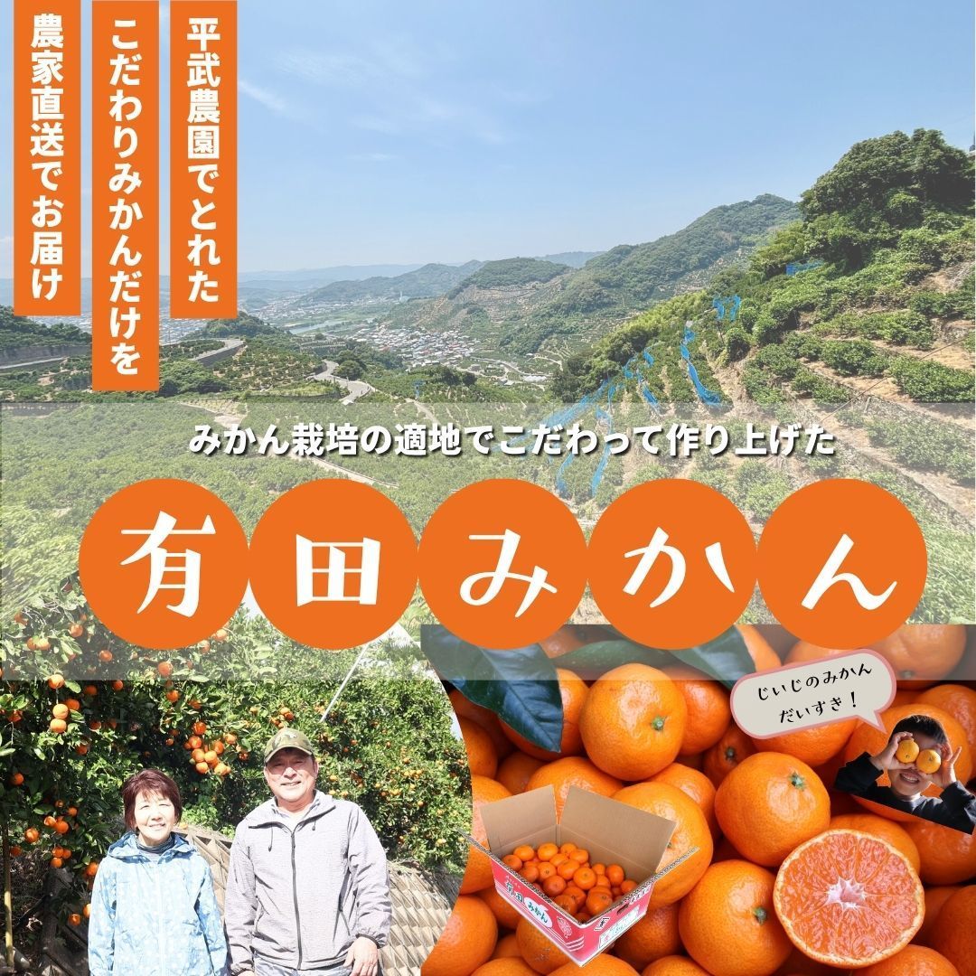 農家直送！有田みかん 5kg 小玉訳あり【平武農園】 - メルカリ