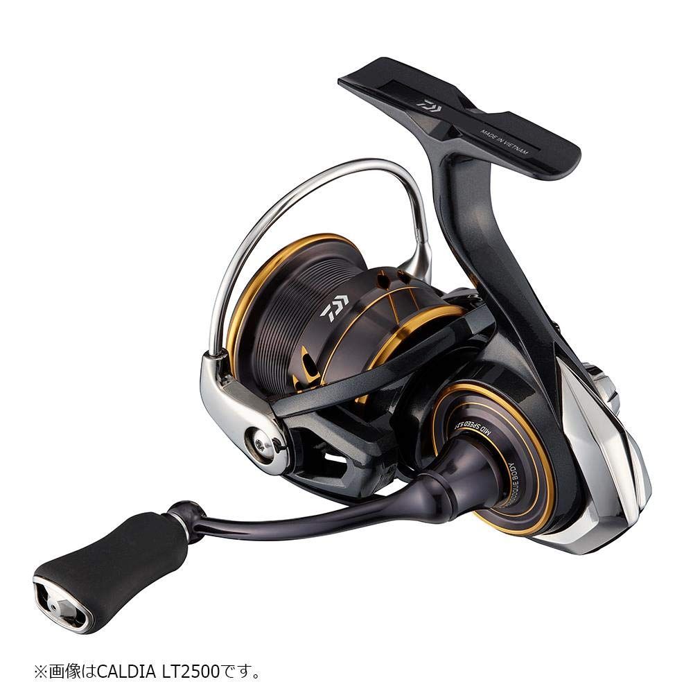 ダイワ(DAIWA) スピニング 21 カルディア LT2500S - メルカリ