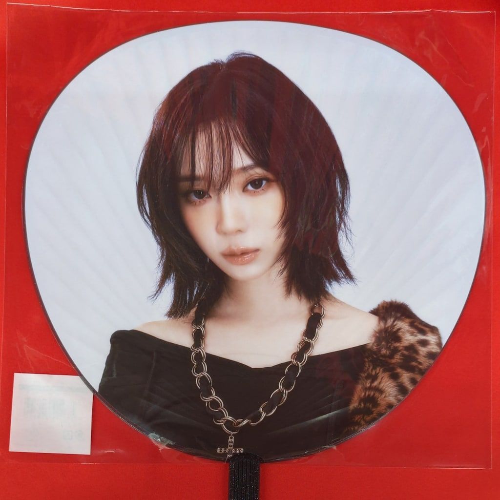 aespa 2025 aespa LIVE TOUR SYNK:aeXIS LINE in JAPAN WINTER BIG