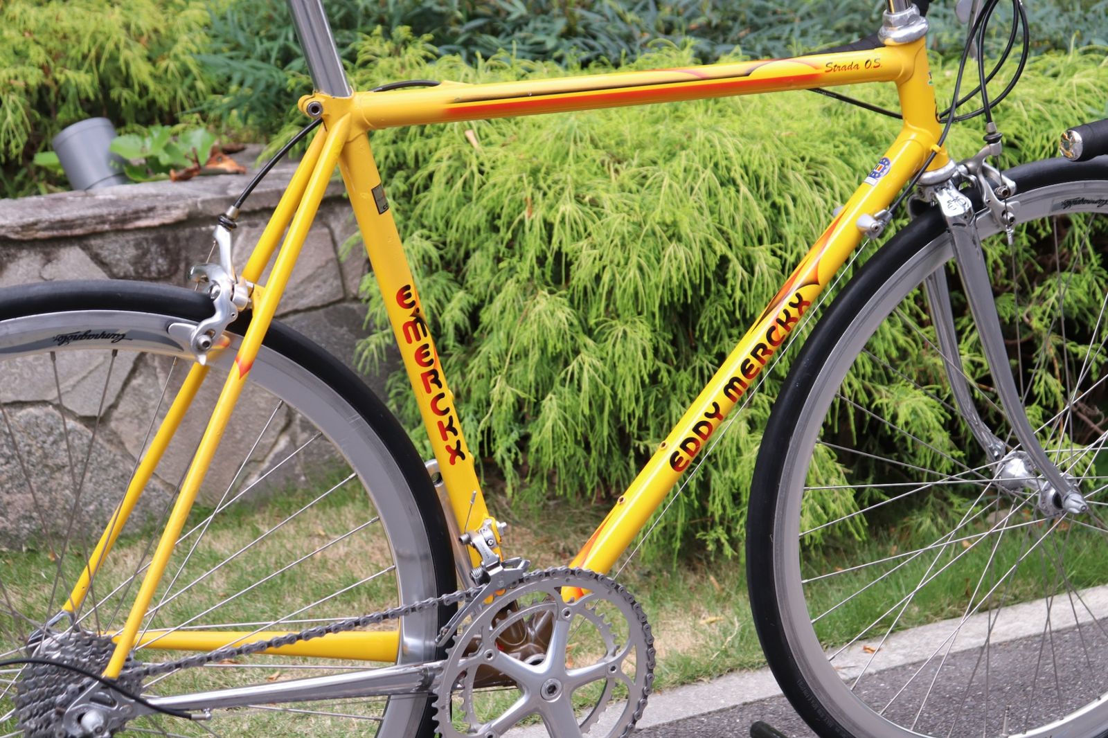 エディメルクス EDDY MERCKX ストラーダ Strada O.S カンパニョーロ