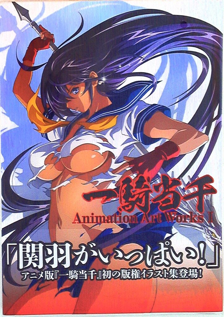ワニブックス 一騎当千Animation Art Works (帯付) - メルカリ