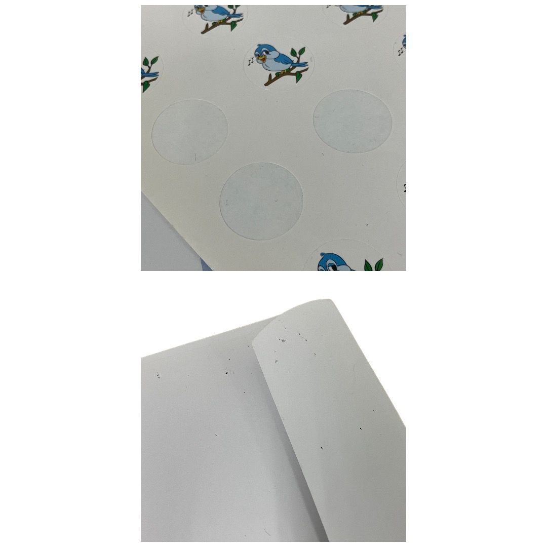 DWE シングアロング DVD版 2015-2016年頃 ディズニー英語システム 英語