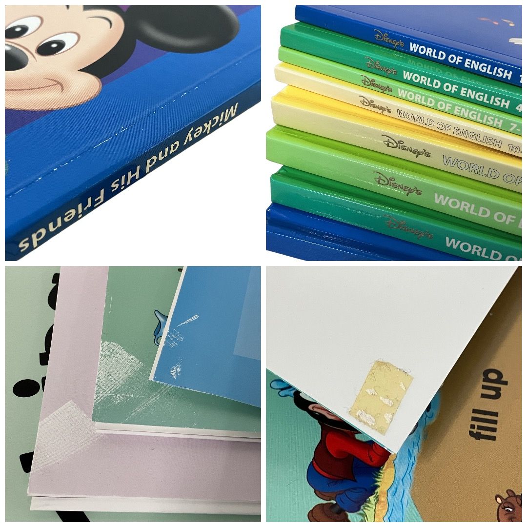 DWE シングアロング 2017年頃 DVD版 ディズニー英語システム 英語 教材