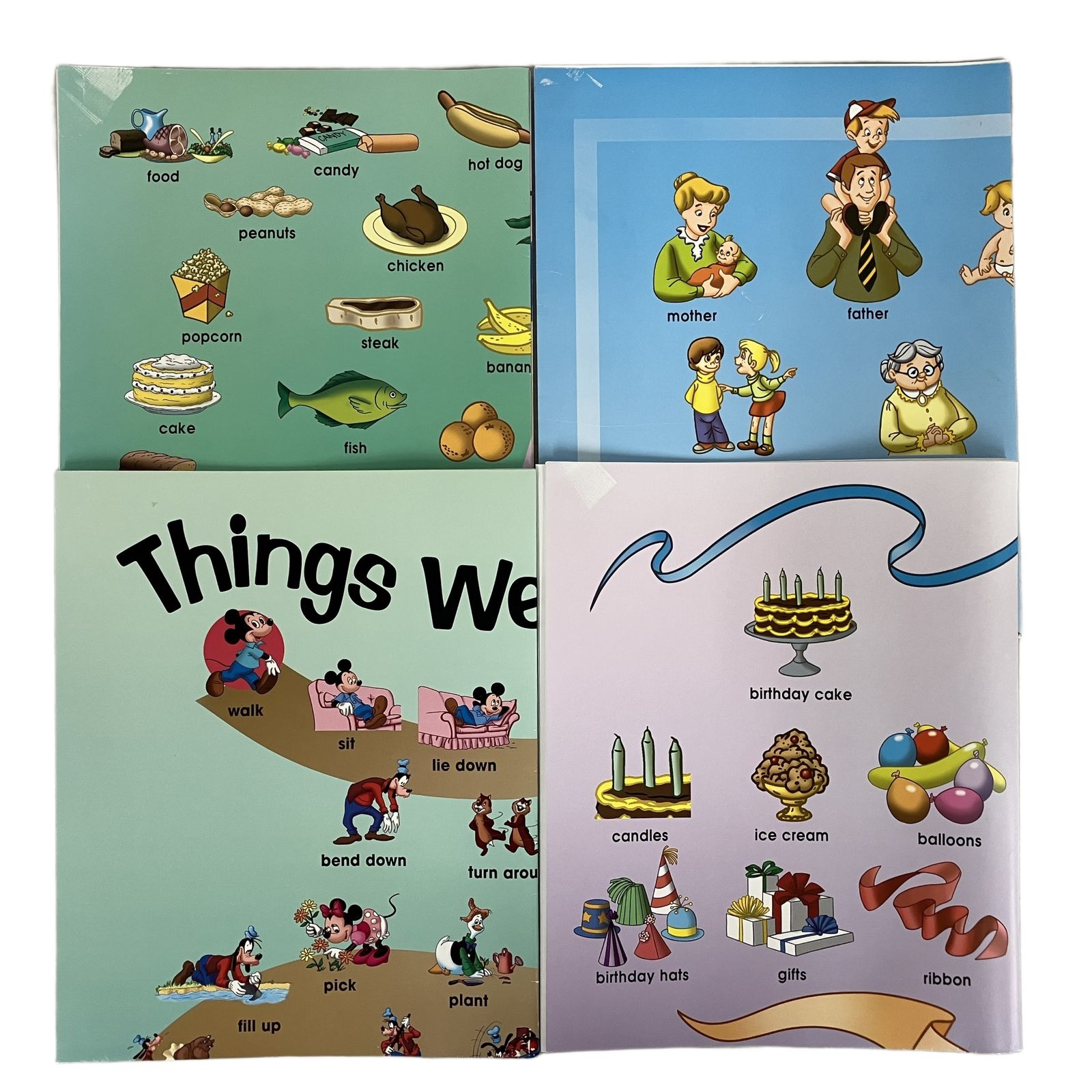 DWE シングアロング 2017年頃 DVD版 ディズニー英語システム 英語 教材