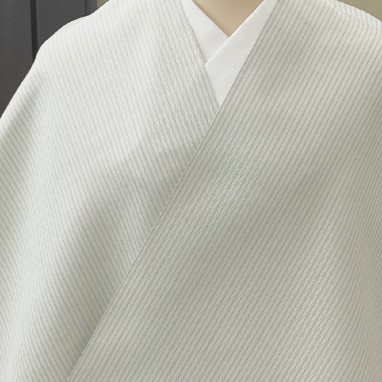 きものヱビス■ 白鷹の手綾織 銀座もとじ扱い 白たか織 佐藤新一 高機草木紬 きものヱビス□ 白鷹の手綾織 銀座もとじ扱い 白たか織 佐藤新一 高機