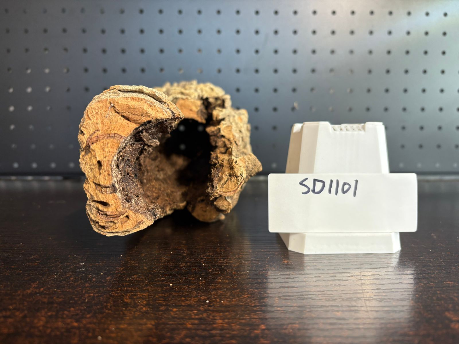 SD1101 ポルトガル産 キャノンコルク コルク樹皮 コルク板 バージン