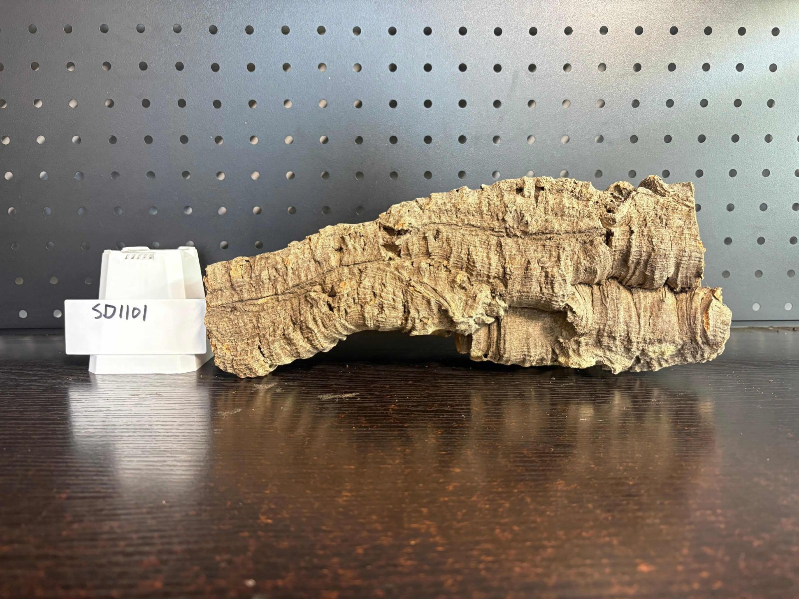 250616　 ポルトガル産 キャノンコルク コルク樹皮 　バージンコルク 250616 ポルトガル産 キャノンコルク コルク樹皮 バージンコルク