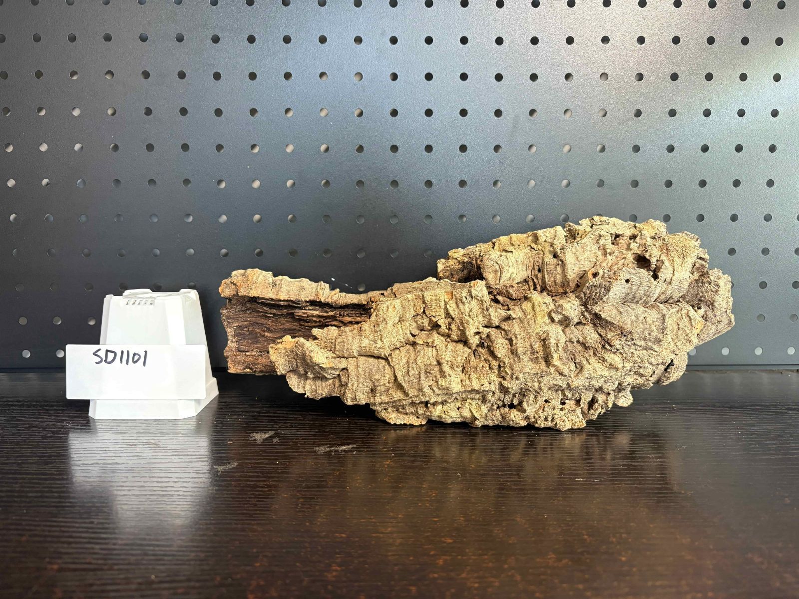 【特大】5本まとめて　バージンコルク　キャノン型 SD1101 ポルトガル産 キャノンコルク コルク樹皮 コルク板 バージン