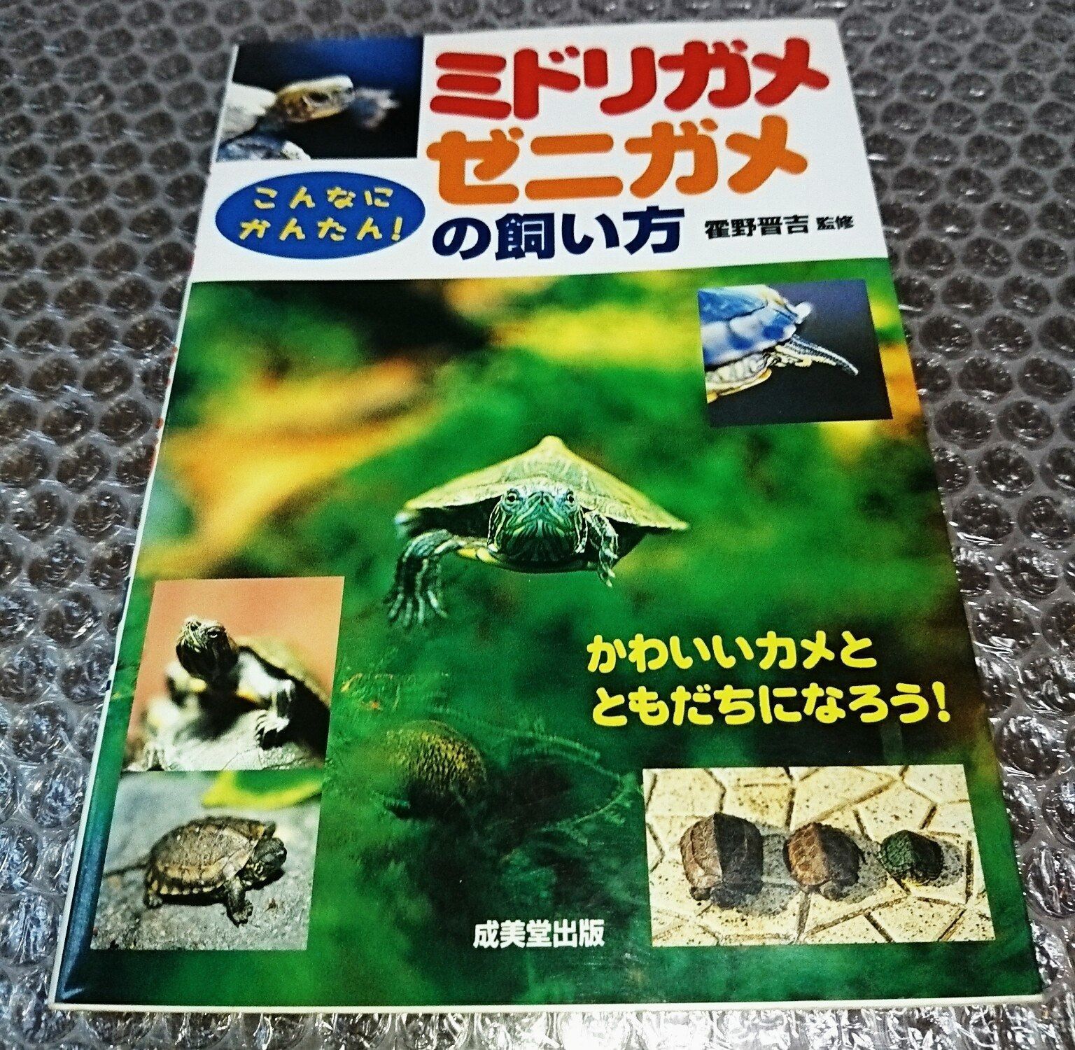 羽中田美季 古井万里にバラ 絵画 フレーム付き 【公式通販】