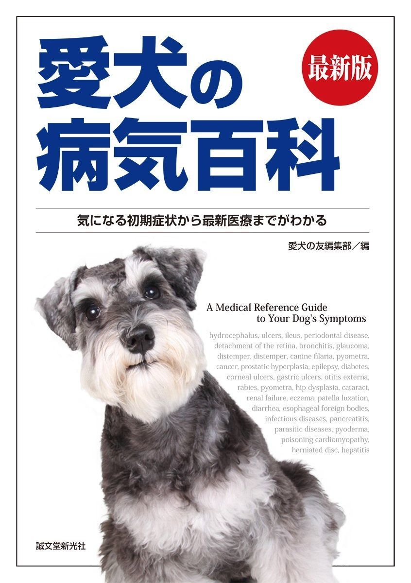 DVD バーンスタインのパターントレード入門 【公式通販】
