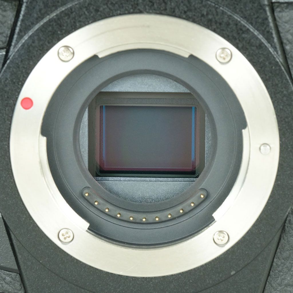 LUMIX DC-G9 PRO 美品　シャッター1,136回 良品 | シャッター数11,810回｜L型ブラケット付] Panasonic LUMIX DC