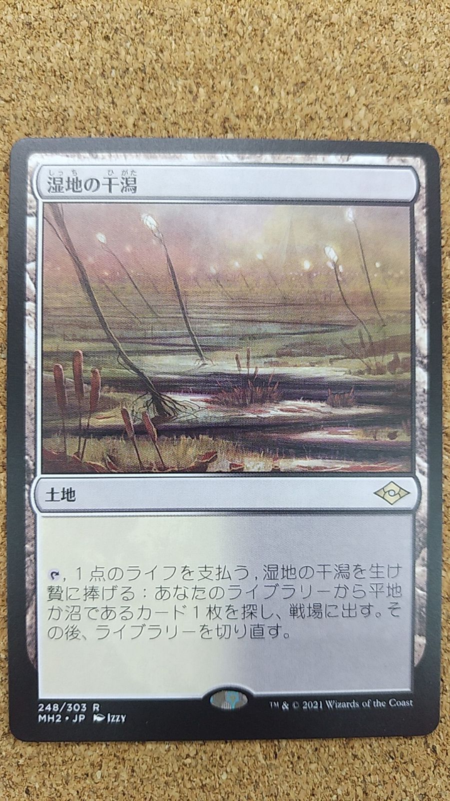 〇MTG 湿地の干潟 MH2 248/303 - メルカリ