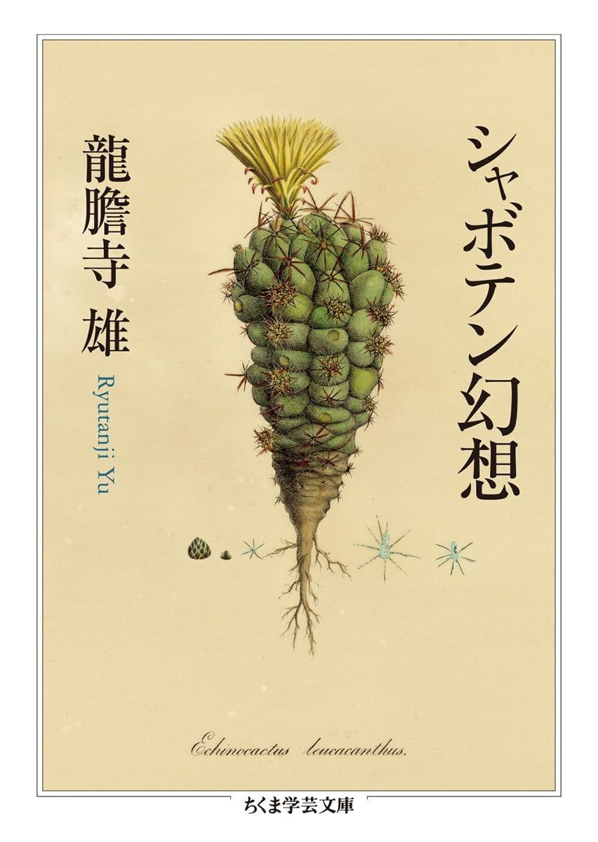 値下げしました‼︎ ROMERA BRASS 次田モデル『侍』SP(B♭・C管用) 値下げ