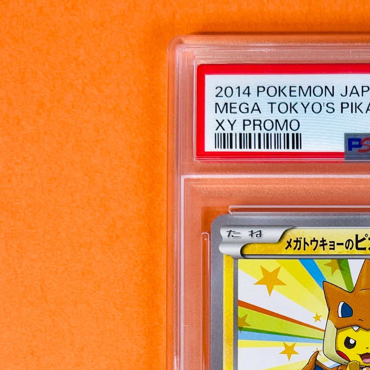 PSA6】 メガトウキョーのピカチュウ 098/XY-P ポケモンカード [XY