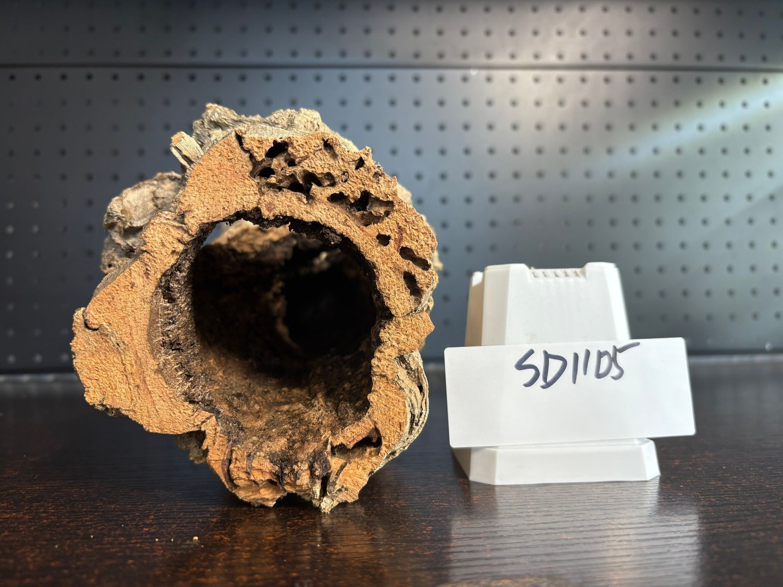 SD1105 ポルトガル産 キャノンコルク コルク樹皮 コルク板 バージン