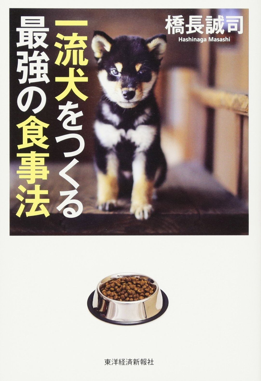 ゐ*様 Kids love gaite 短靴 クロコ型押しレースアップシューズ JOHN / ジョン [ 99-2401 ] KIDS LOVE GAITE / キッズラブゲイト