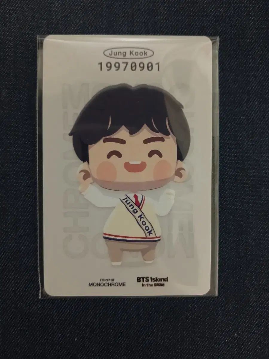 数量限定，大得価 BTS IN THE SEOM ジョングク MONOCHROME トレカ その他