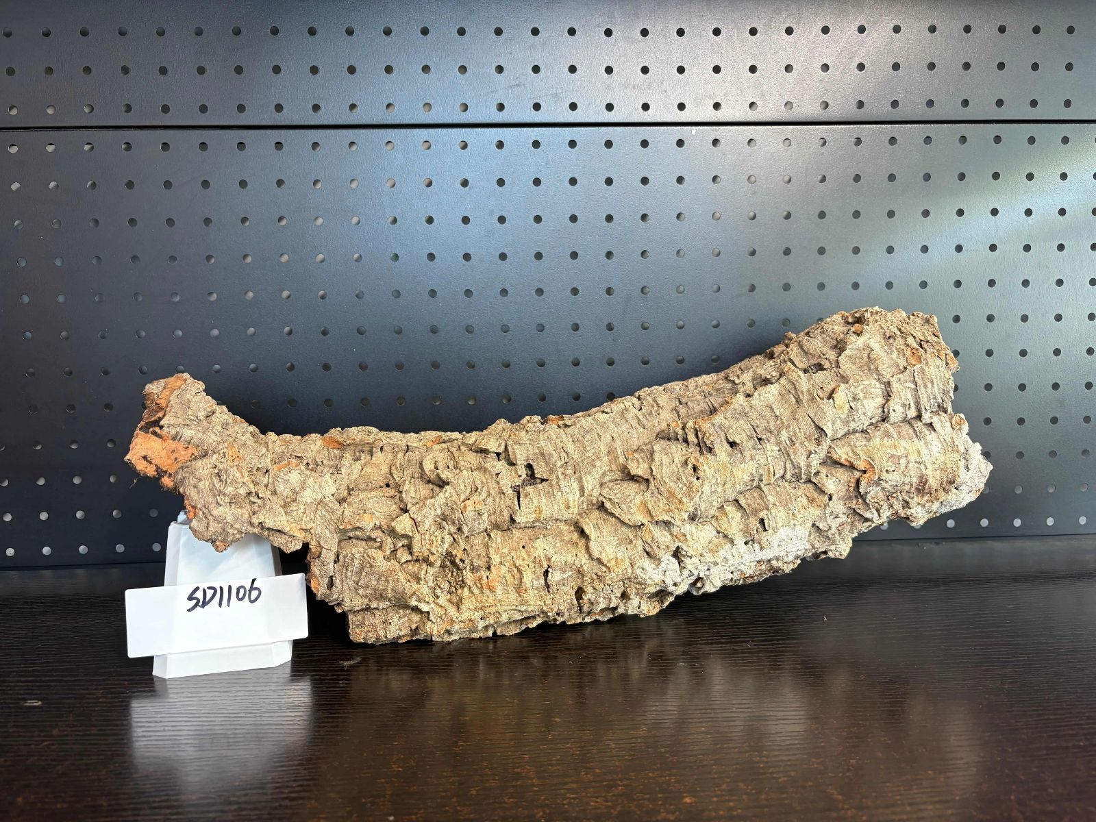 25D721 ポルトガル産 キャノンコルク コルク樹皮 バージンコルク