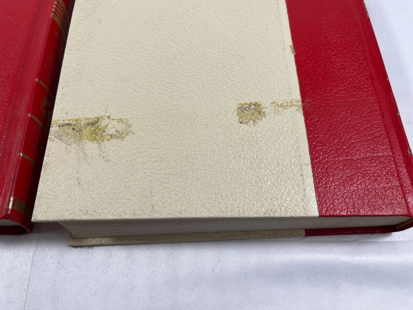 古書 1970年代の性に関するビンテージ本（英語）2冊セット 基礎からの英語 新訂第2版 | 岡田 伸夫, Edward M.Quackenbush |本