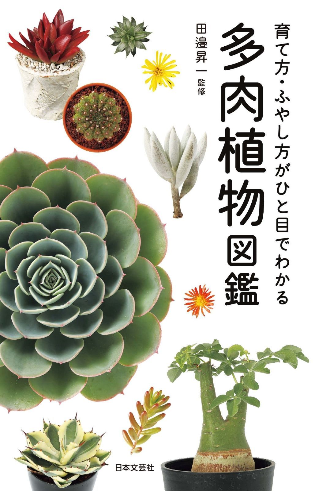 多肉植物図鑑 | 多肉植物 多肉植物図鑑 公式通販 The プロが教える！多肉植物の育て方・楽しみ方図鑑630種｜西東社