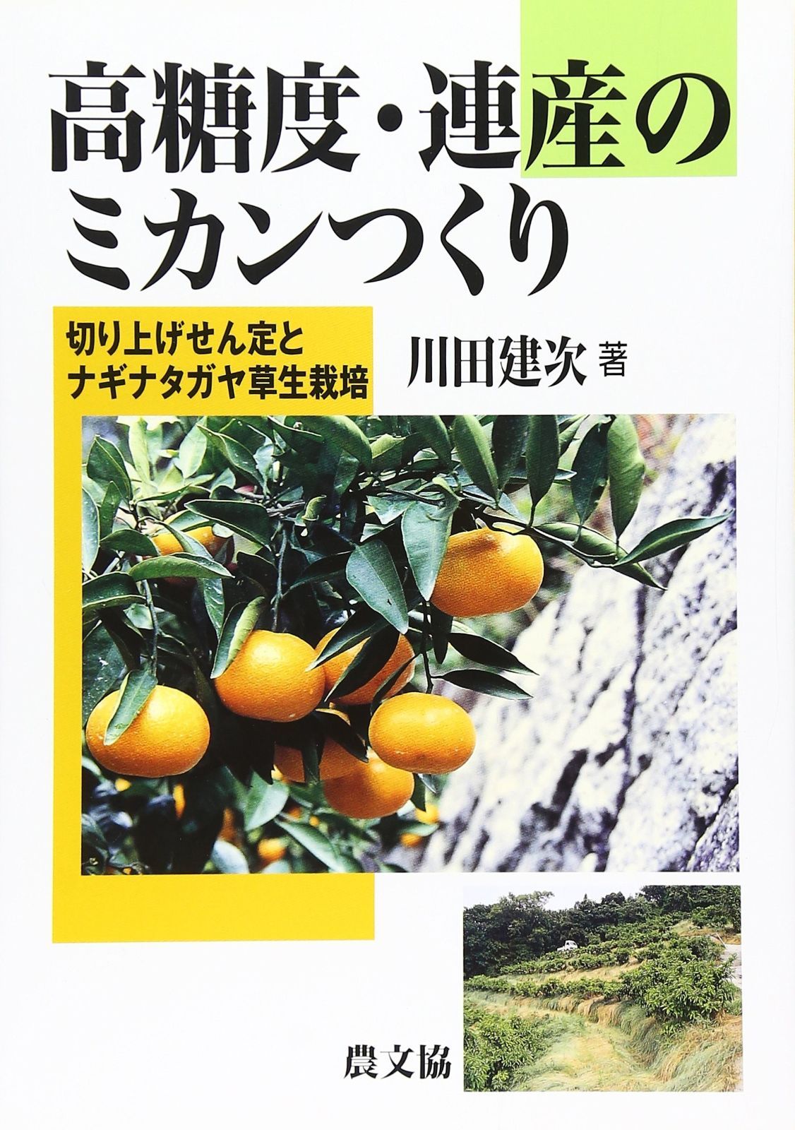 【爆買い，大得価】 高糖度・連産のミカンつくり: 切り上げせん定とナギナタガヤ草生栽培 その他