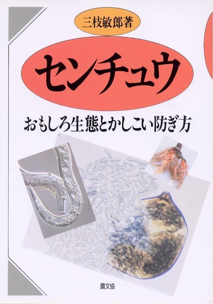 桝田隆一、【冬の蓮池】、希少な額装用画集より、状態良好、新品額装付