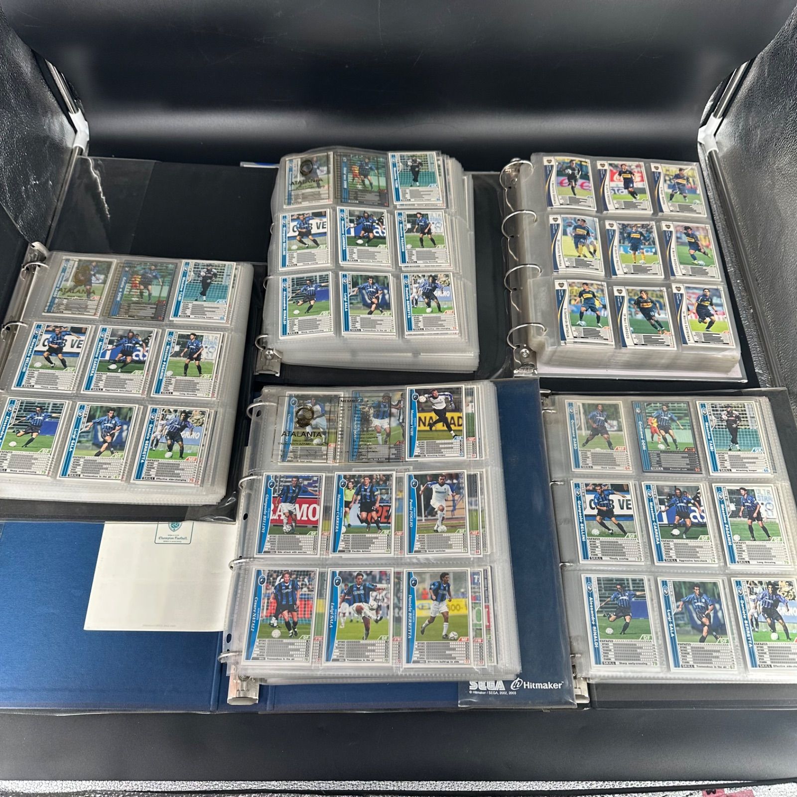 PANINI パニーニフットボールリーグ トレーディングカード サッカー