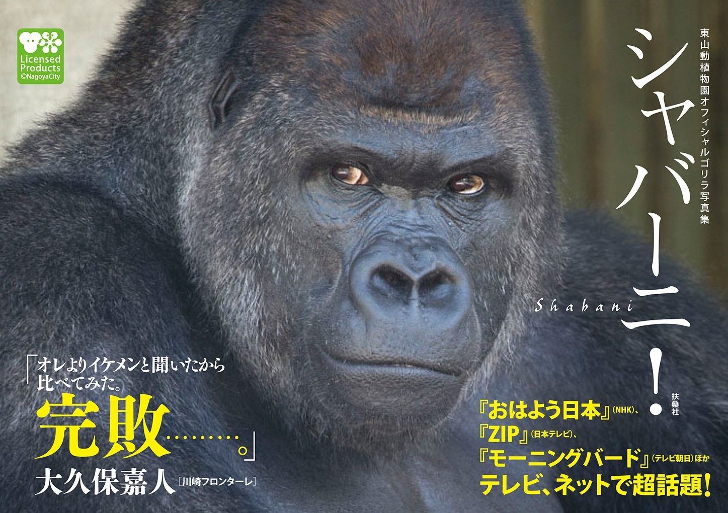 御影石のゴリラ 東山動植物園オフィシャルゴリラ写真集 シャバーニ! 【公式通販】