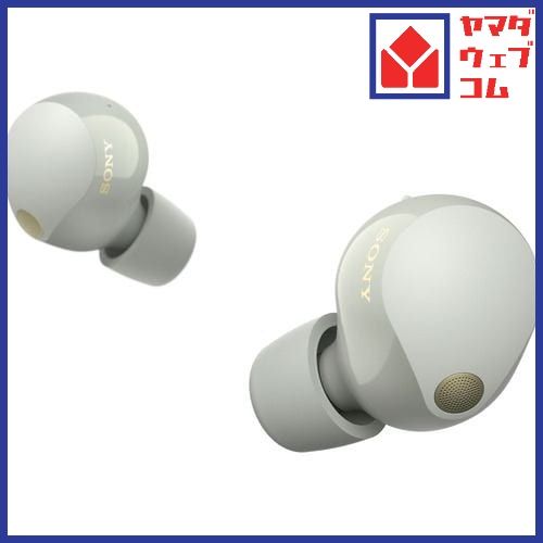 ソニー ワイヤレス イヤホン 左右分離 ハイレゾ ノイズキャンセリング