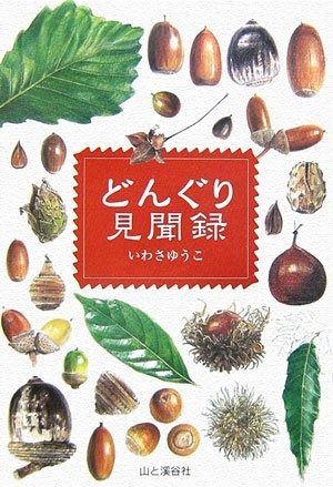 相撲づくりの秘芸 花龍照光 私の相撲自伝