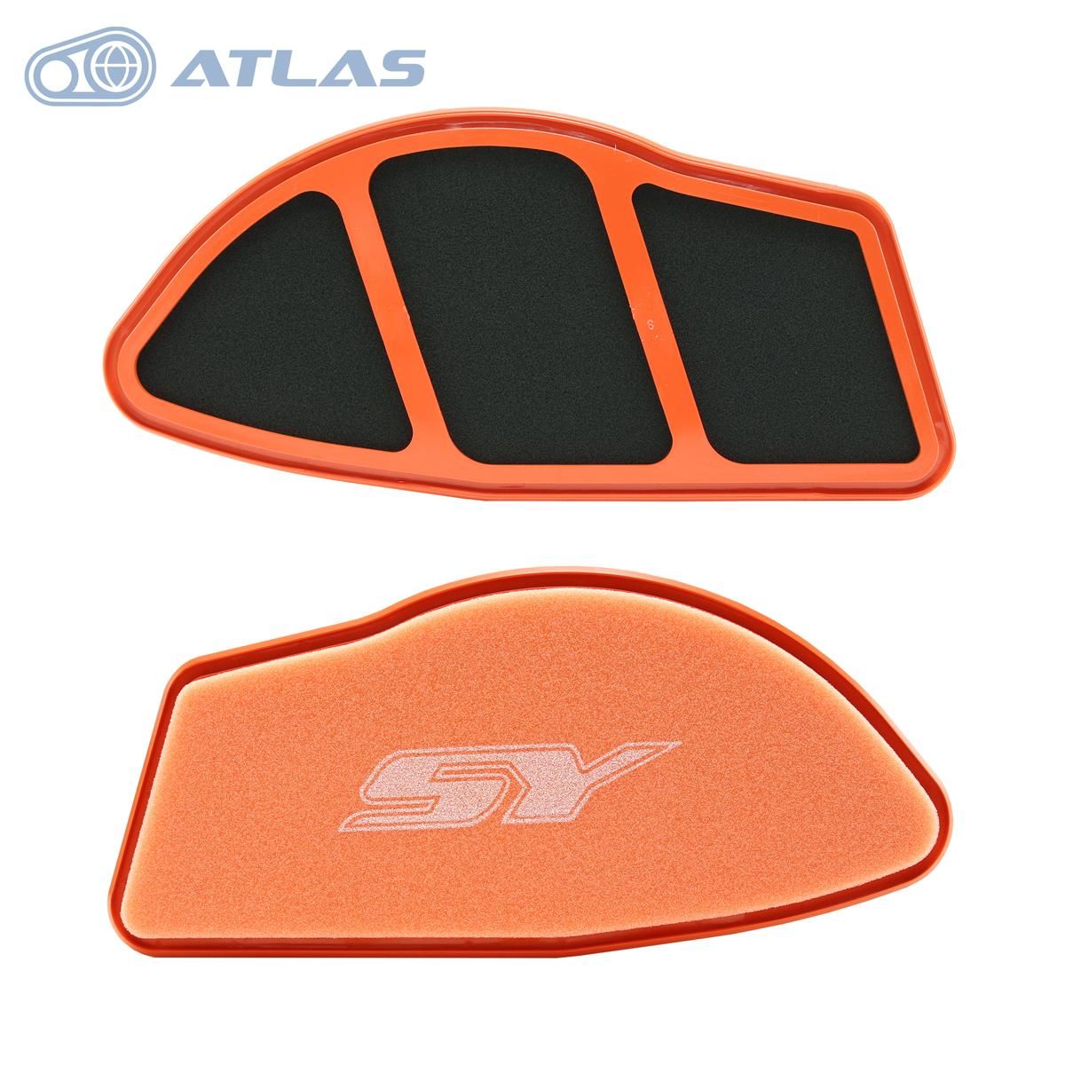 ポケモン　ポスター　付録　ルビー　サファイア　金銀　グリーン　レッド　ミュウツー ポケモン ポスター 付録 ルビー サファイア 金銀 グリーン レッド