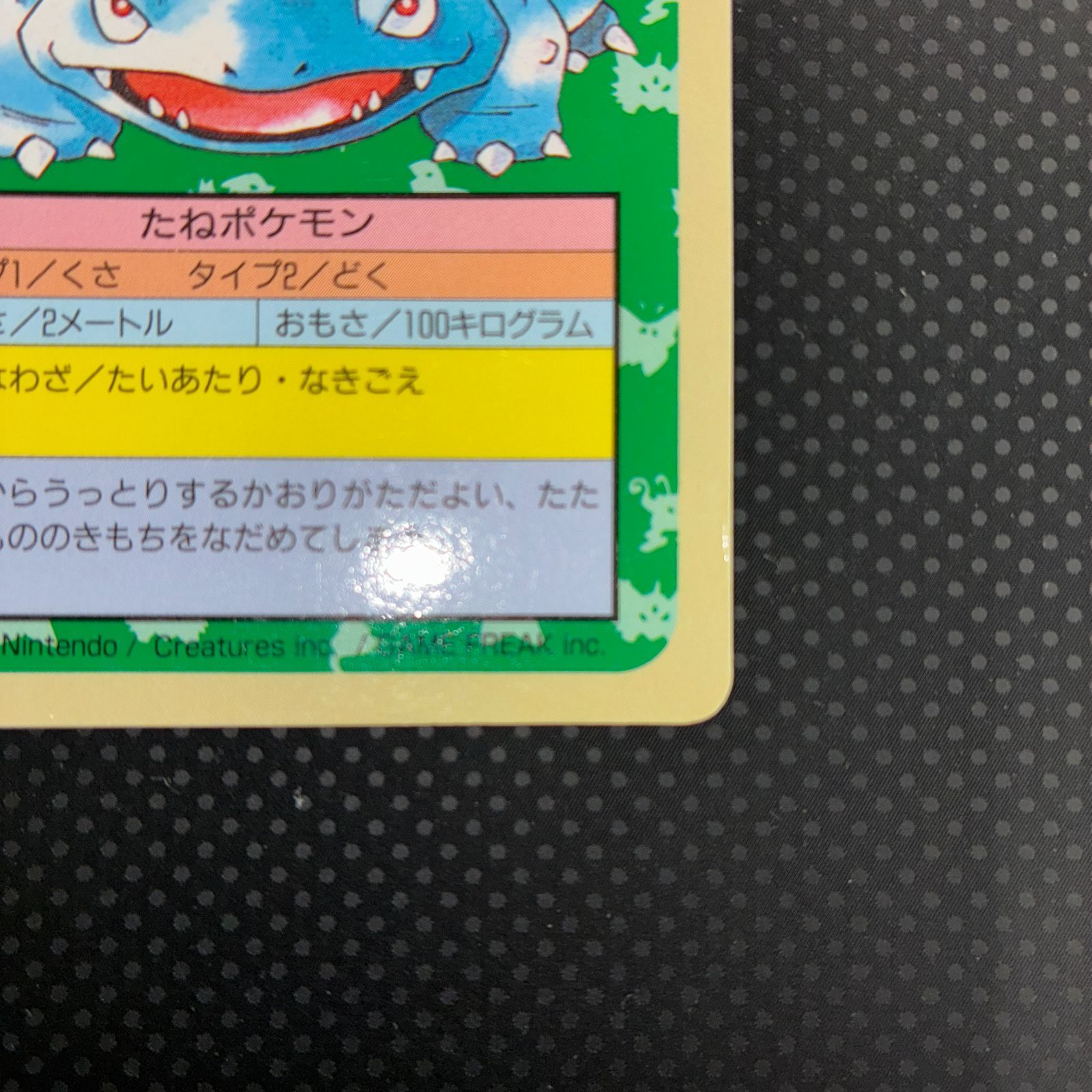 おすすめ 状態A フシギバナ トップサン 裏青 - メルカリ