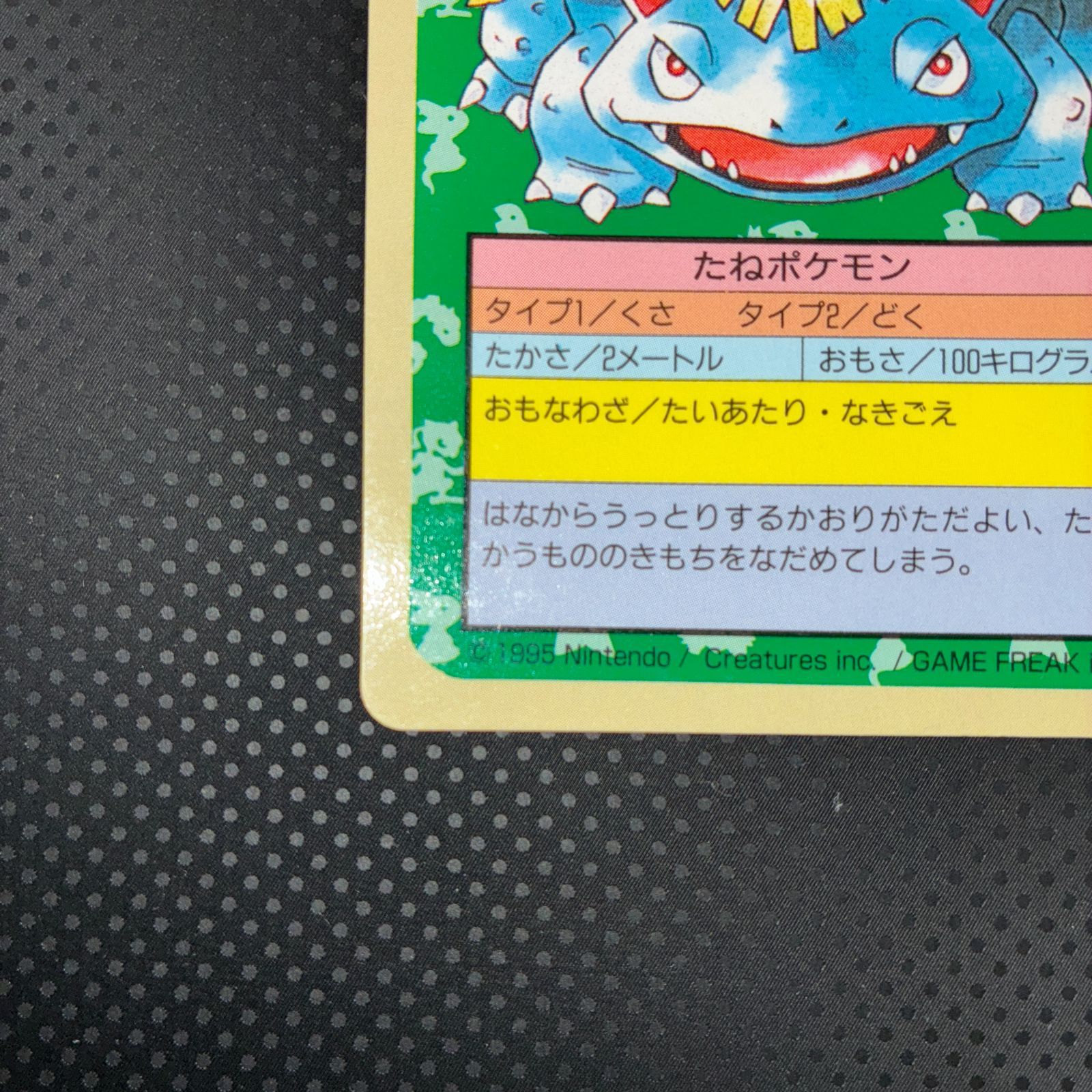 おすすめ 状態A フシギバナ トップサン 裏青 - メルカリ