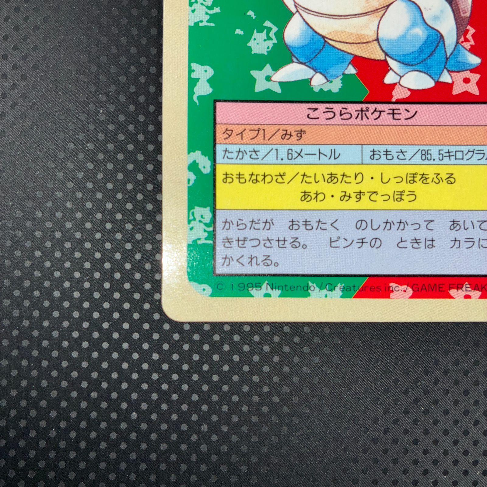 ポケモン　トップサン　カメックス　ブルーバック ポケモン トップサン カメックス ブルーバック ポケモン トップサン