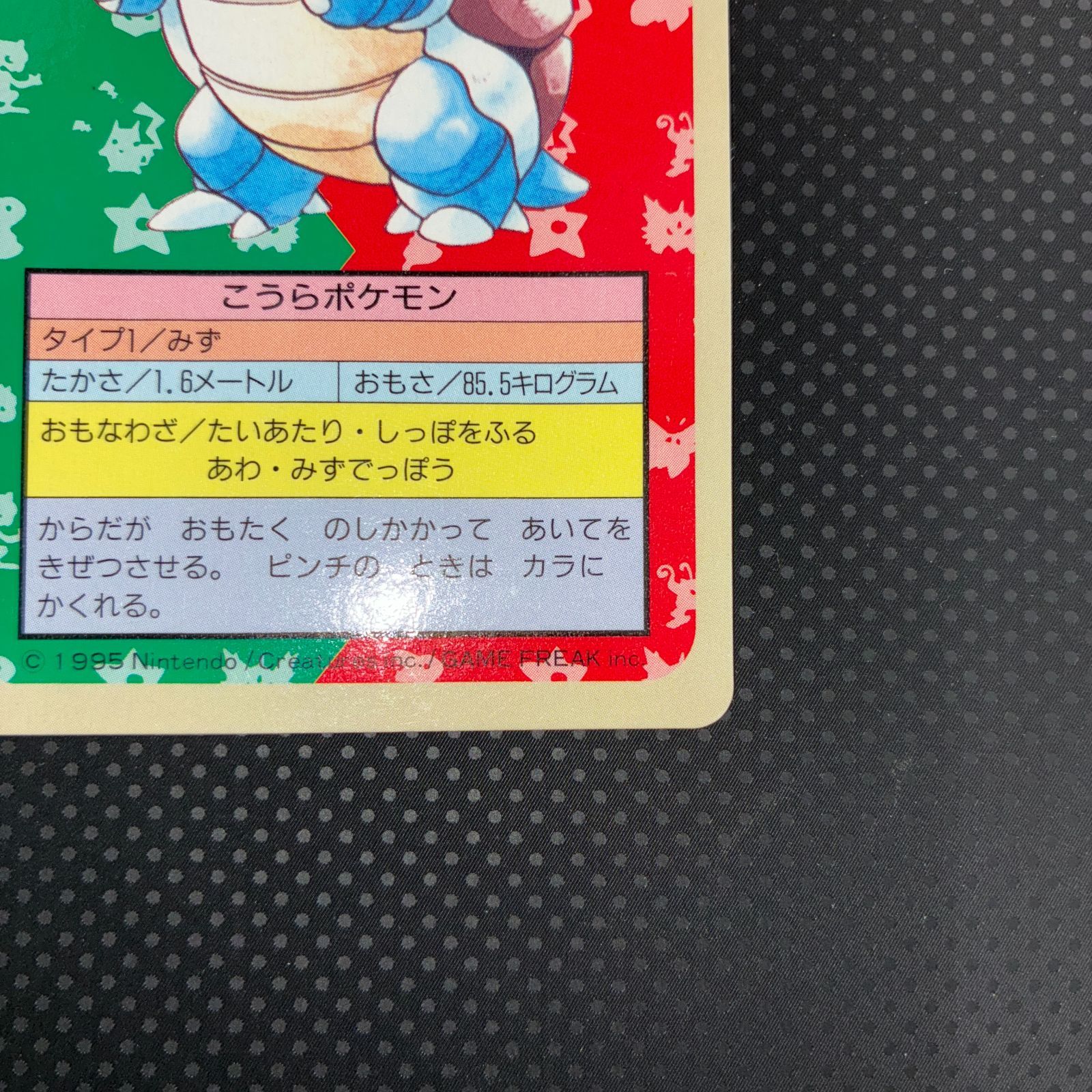 おすすめ 状態A カメックス トップサン 裏青 - メルカリ