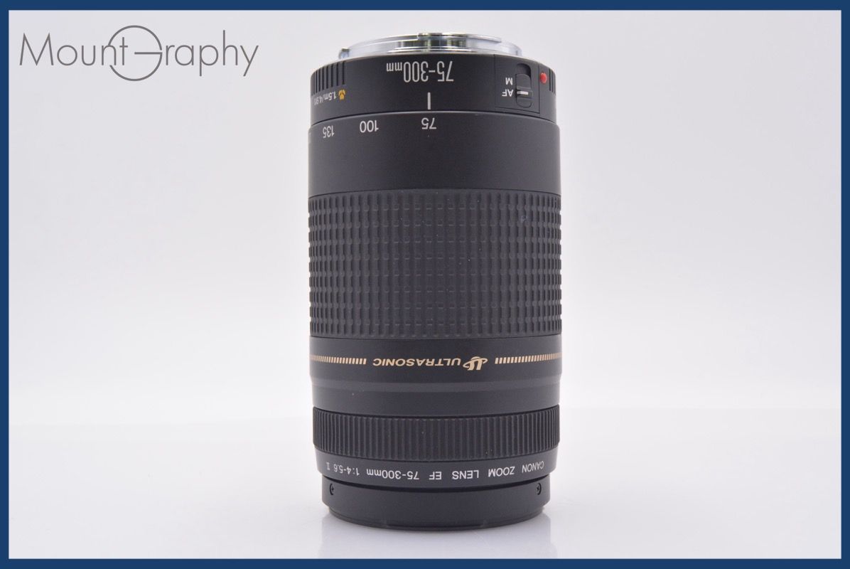 ☆極上美品☆ キヤノン Canon EF 75-300mm F4-5.6 II USM 前後キャップ