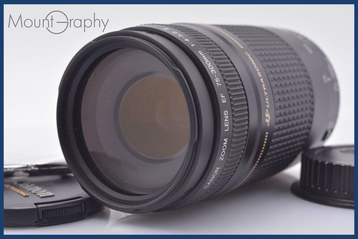☆極上美品☆ キヤノン Canon EF 75-300mm F4-5.6 II USM 前後キャップ