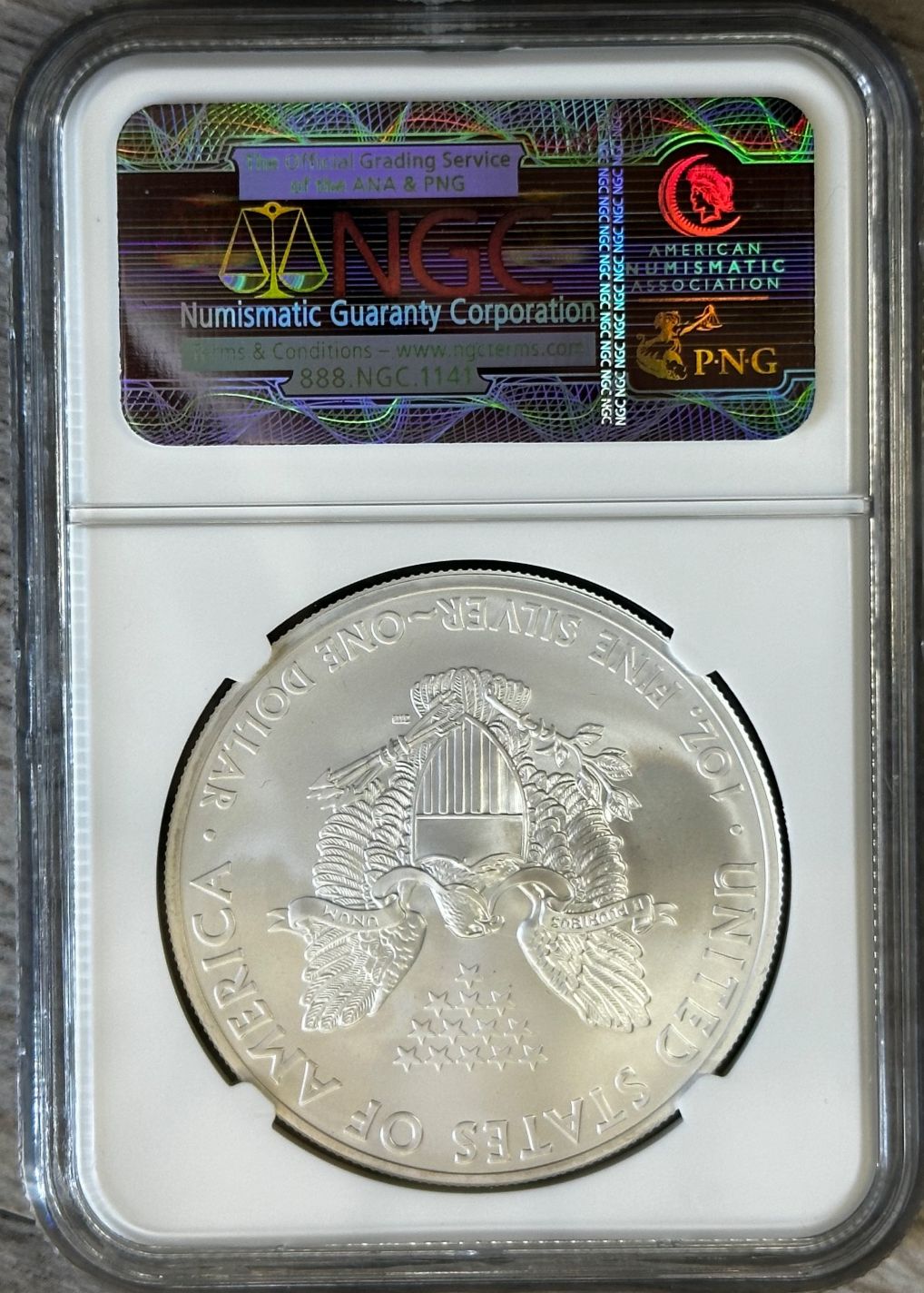 2013年 1ドル アメリカン シルバー イーグル 1オンス 999 シルバー NGC