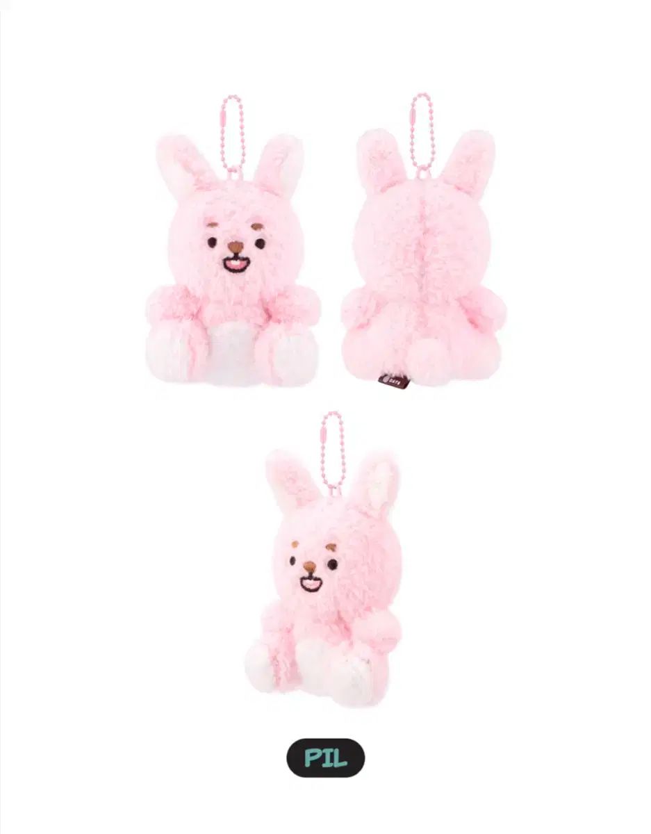 DAY6（デイシックス）おすわりウォンピル 新 商品 + タロットコンフェ