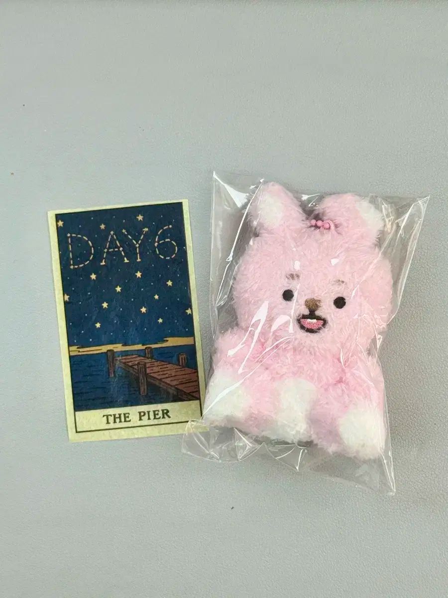 DAY6（デイシックス）おすわりウォンピル 新 商品 + タロットコンフェ