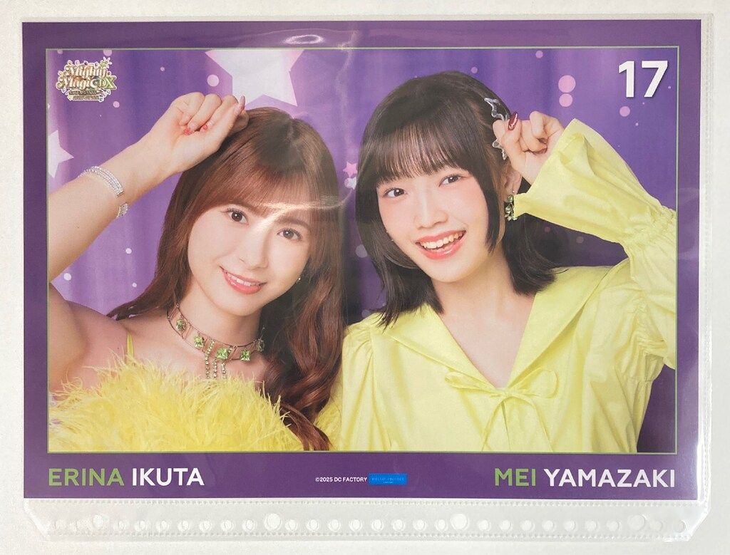 生田衣梨奈モーニング娘。生写真 グッズピンナップポスターまとめ売りハロプロ 生田衣梨奈モーニング娘。生写真 グッズピンナップポスターまとめ売り