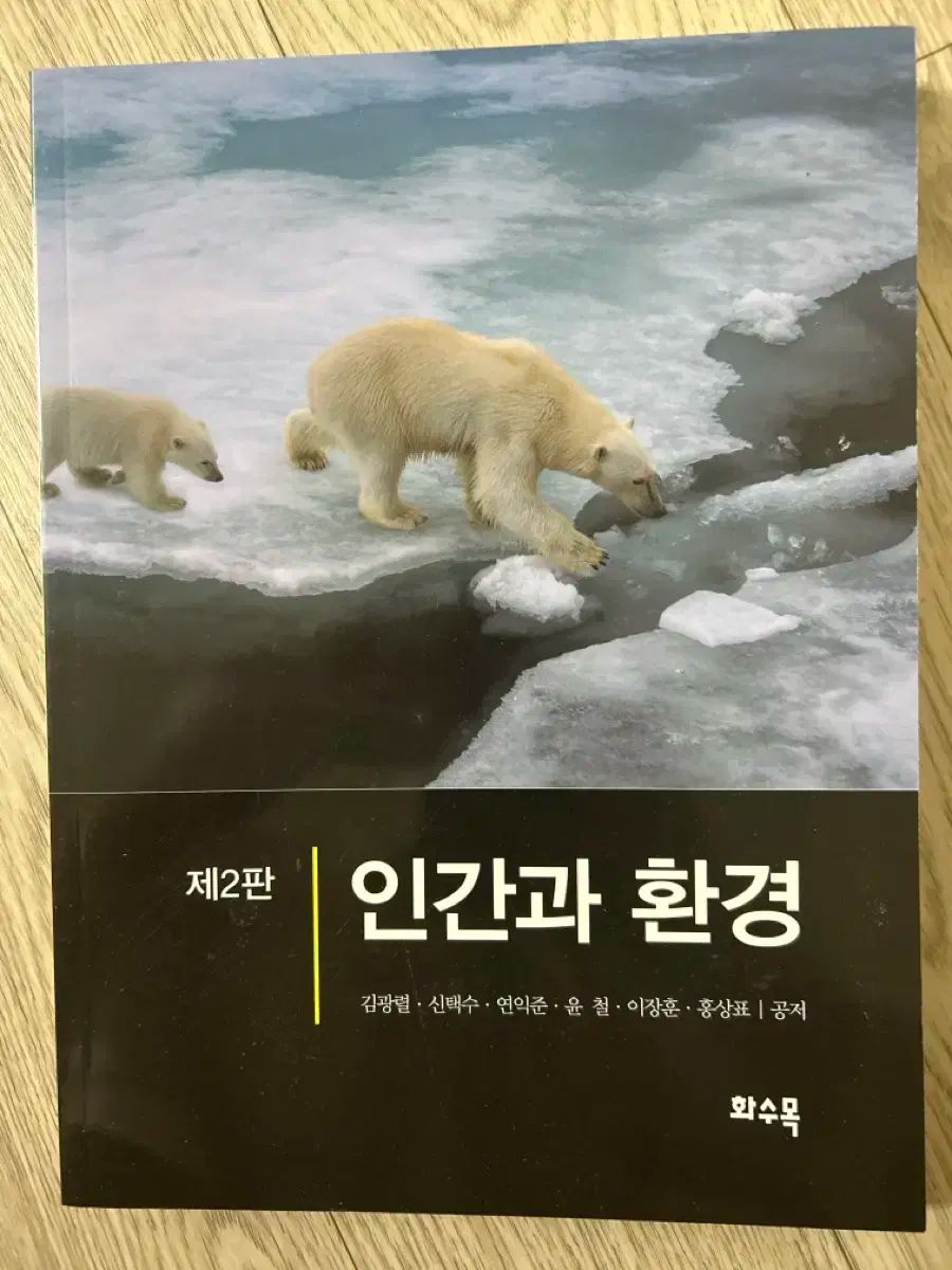 極美品 サンローラン 貴重サイズ LL ウールライナー 大きいサイズ