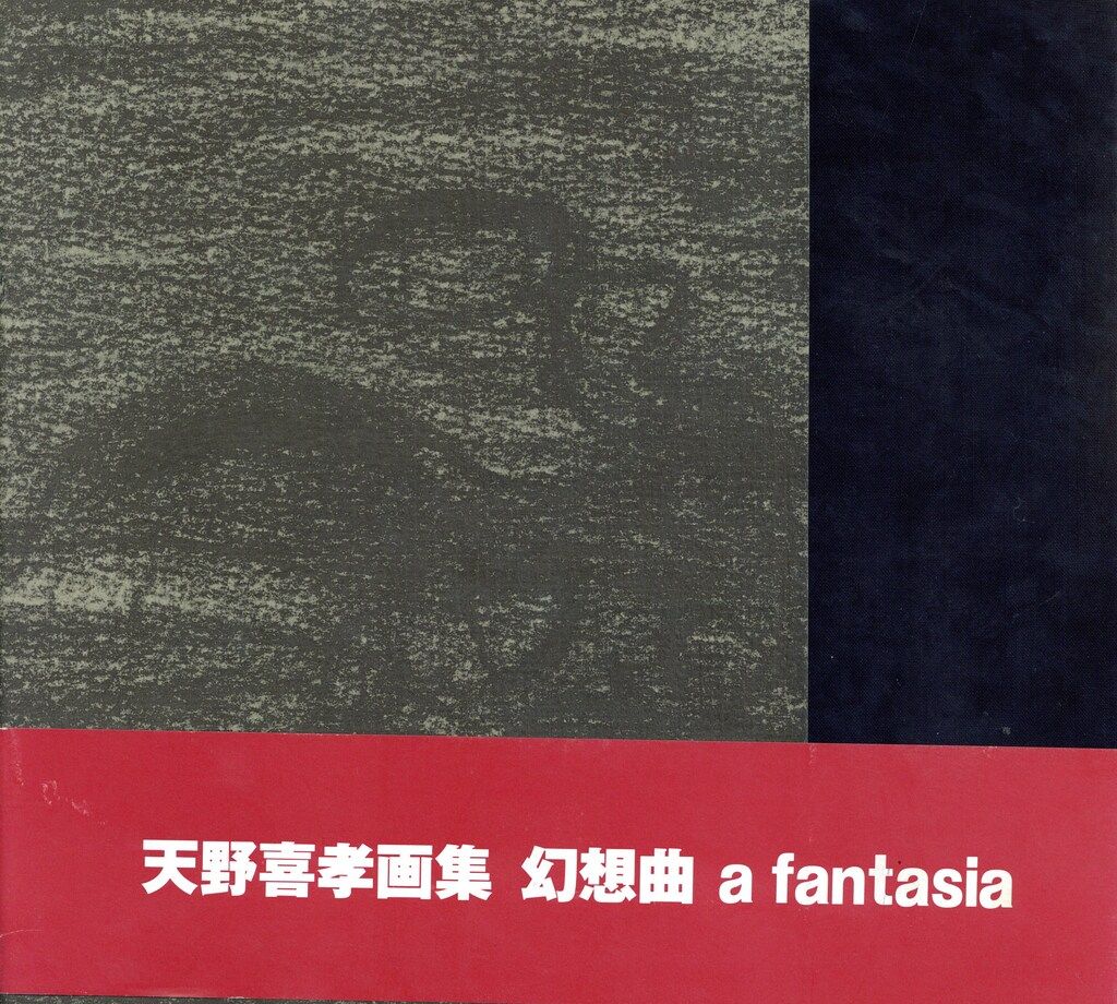 アールビバン 天野喜孝 幻想曲 a fantasia (帯付) - メルカリ