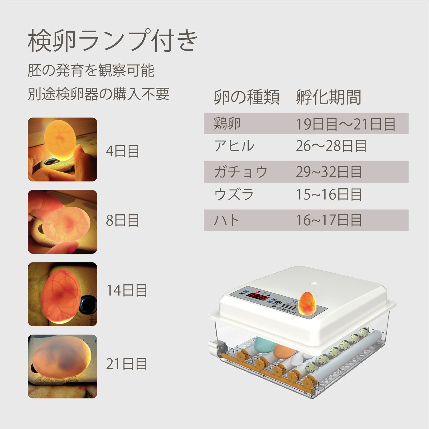 Kurflo 自動孵卵器 全自動孵化 インキュベーター 鳥類専用ふ卵器 自動孵卵器 最大36枚 家禽ハッチャー 温度/湿度調理 高精度制御 鶏/アヒル/ガチョウ/鳩/ウズラ Kurflo 自動孵卵器 全自動孵化 インキュベーター 鳥類専用ふ卵器 自動孵卵器 最大36枚 家禽ハッチャー 温度/湿度調理 高精度制御 鶏/アヒル/ガチョウ/鳩/ウズラ