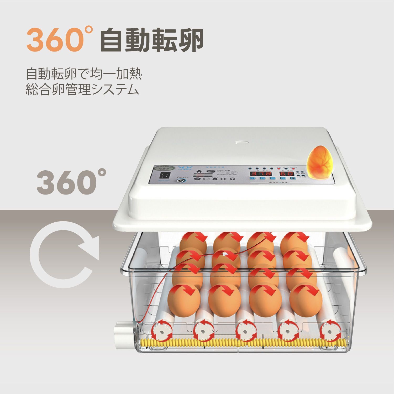 Kurflo 自動孵卵器 全自動孵化 インキュベーター 鳥類専用ふ卵器 自動孵卵器 最大36枚 家禽ハッチャー 温度/湿度調理 高精度制御 鶏/アヒル/ガチョウ/鳩/ウズラ Kurflo 自動孵卵器 全自動孵化 インキュベーター 鳥類専用ふ卵器 自動孵卵器 最大36枚 家禽ハッチャー 温度/湿度調理 高精度制御 鶏/アヒル/ガチョウ/鳩/ウズラ
