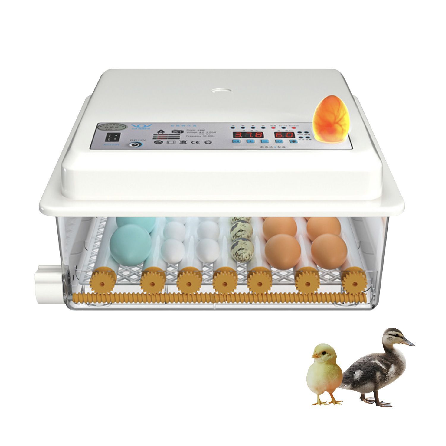 Kurflo 自動孵卵器 全自動孵化 インキュベーター 鳥類専用ふ卵器 自動孵卵器 最大36枚 家禽ハッチャー 温度/湿度調理 高精度制御 鶏/アヒル/ガチョウ/鳩/ウズラ Kurflo 自動孵卵器 全自動孵化 インキュベーター 鳥類専用ふ卵器 自動孵卵器 最大36枚 家禽ハッチャー 温度/湿度調理 高精度制御 鶏/アヒル/ガチョウ/鳩/ウズラ