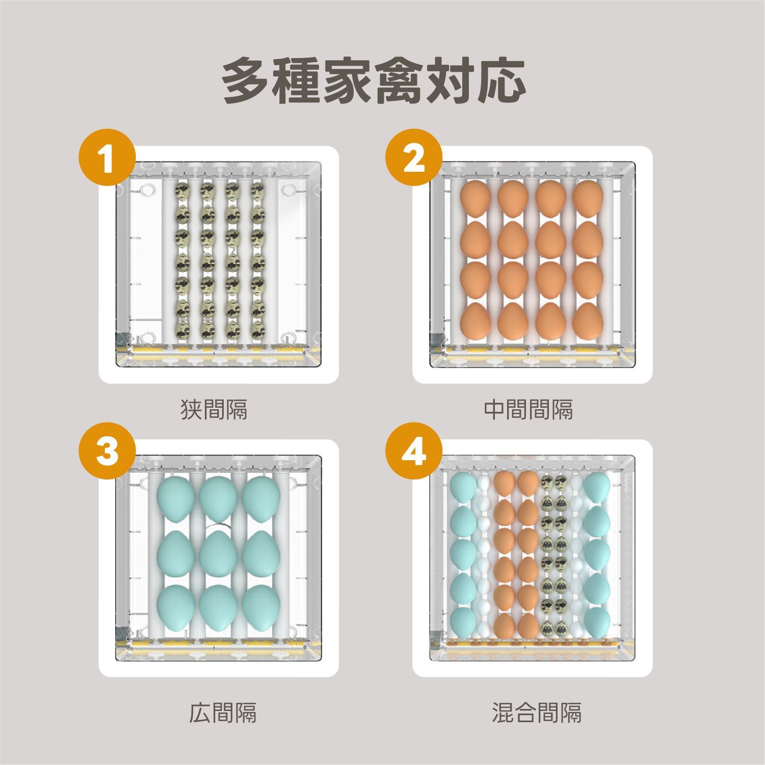 Kurflo 自動孵卵器 全自動孵化 インキュベーター 鳥類専用ふ卵器 自動孵卵器 最大36枚 家禽ハッチャー 温度/湿度調理 高精度制御 鶏/アヒル/ガチョウ/鳩/ウズラ Kurflo 自動孵卵器 全自動孵化 インキュベーター 鳥類専用ふ卵器 自動孵卵器 最大36枚 家禽ハッチャー 温度/湿度調理 高精度制御 鶏/アヒル/ガチョウ/鳩/ウズラ