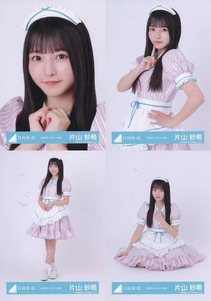 片山紗希 日向坂46 ライブ 制服 ハロウィン 読書 生写真 16種コンプ 中古】生写真(乃木坂46) ◇日向坂46/片山紗希/日向坂46ランダム生写真