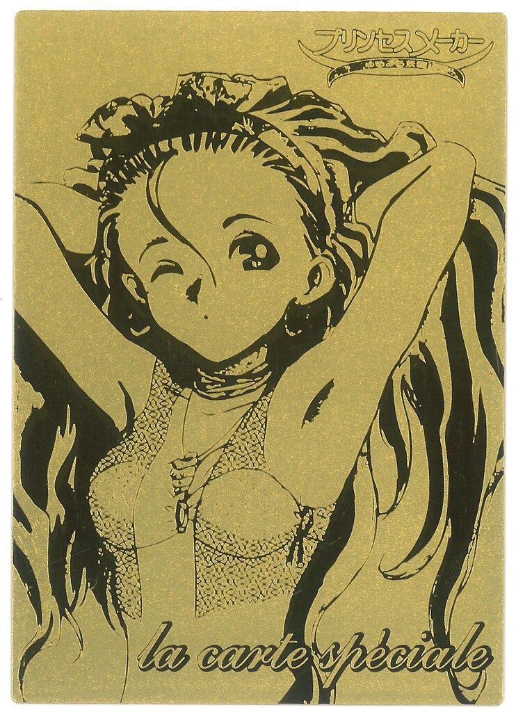 NINELIVES トレーディングカード プリンセスメーカー ゆめみる妖精